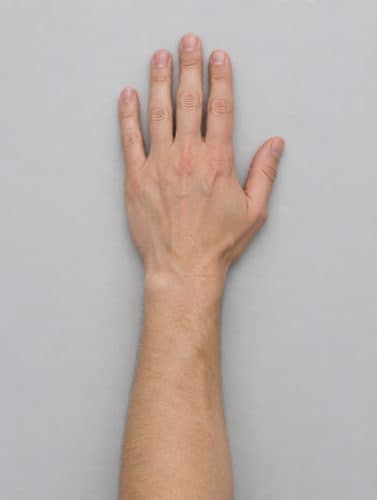 Example pose: a forearm and hand, palm down, against a plain background